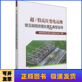 超\特高压变电运维常见缺陷排查处置与典型实例