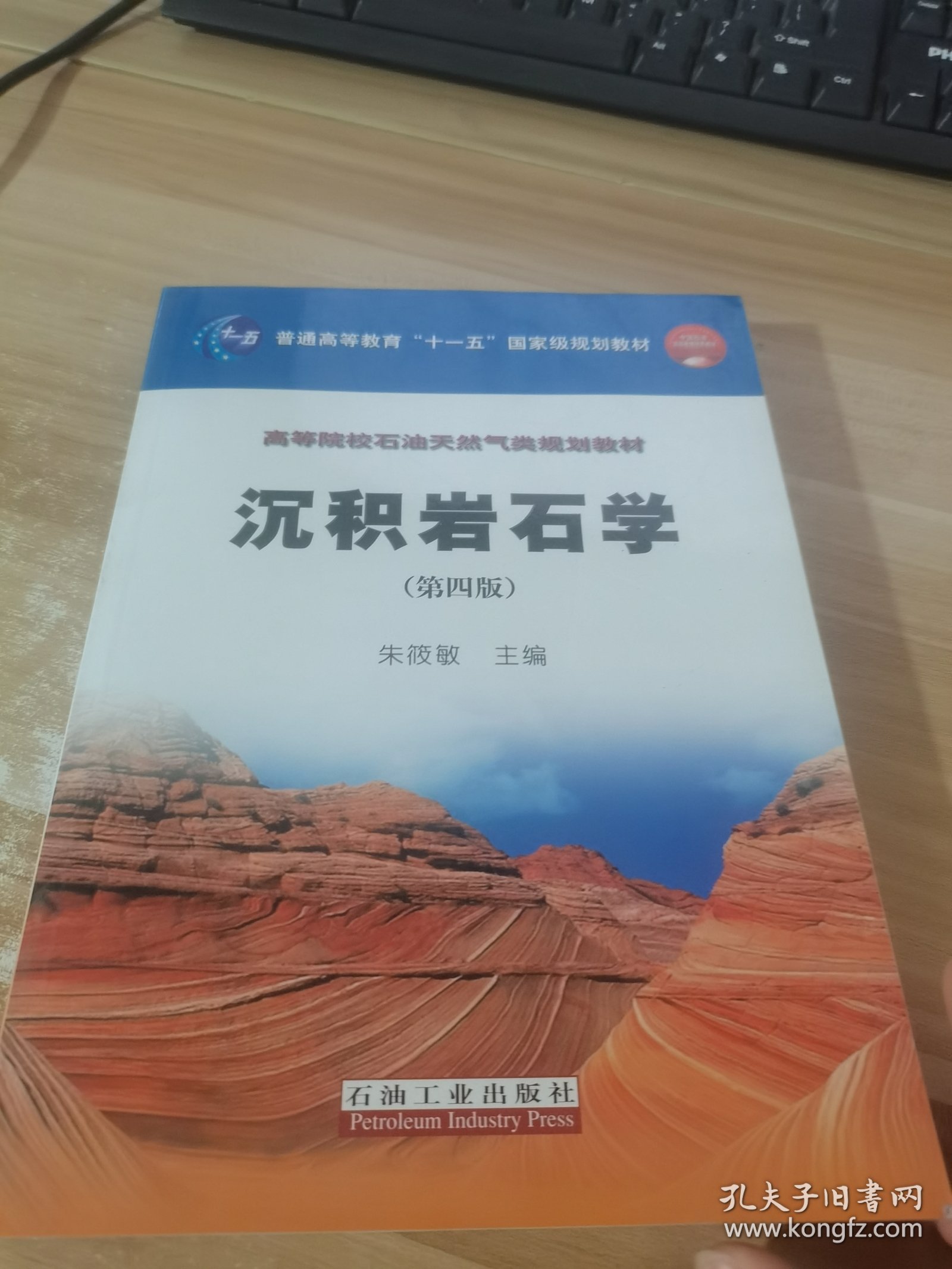 沉积岩石学/普通高等教育“十一五”国家级规划教材·高等院校石油天然气类规划教材