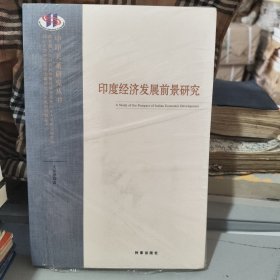 印度经济发展前景研究