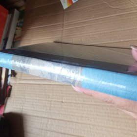 德寿宫传 周膺，吴晶 著（全新有塑封）