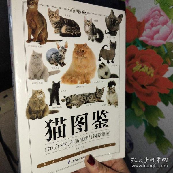 猫图鉴