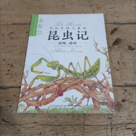 螳螂、蟋蟀/写给中国儿童的昆虫记