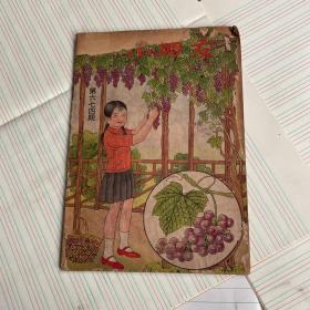 小朋友第六七四期民国