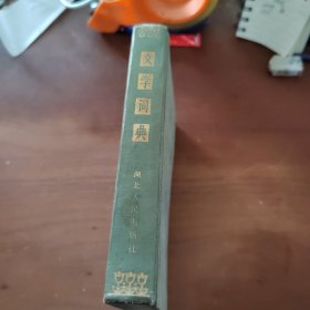 文學(xué)詞典