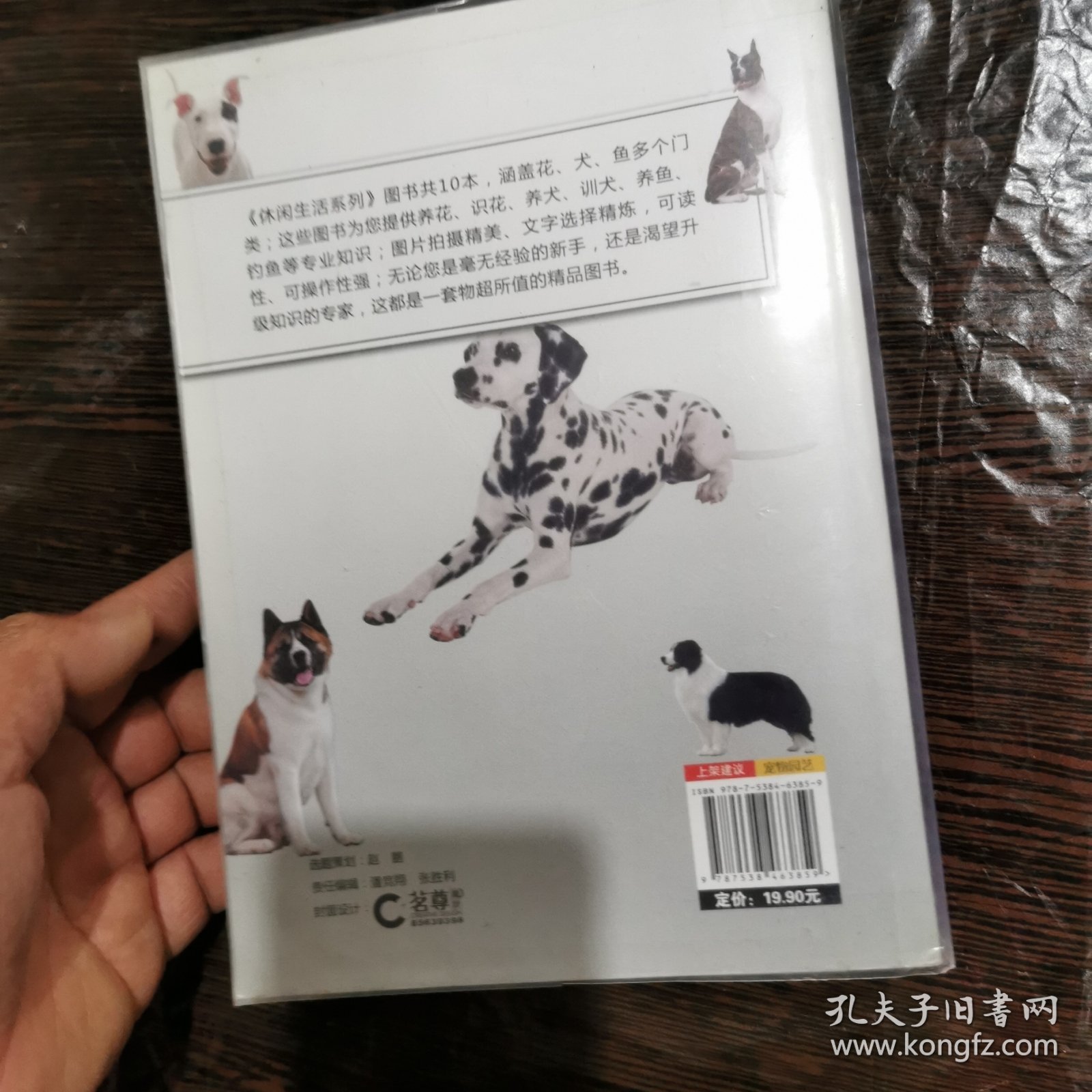 宠物犬训练百科