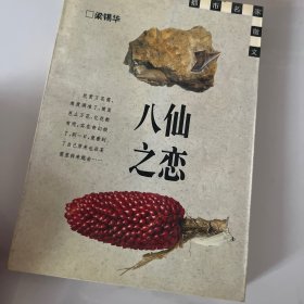 八仙之恋