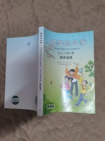 理想的风筝 语文六年级下册 同步阅读：语文6年级