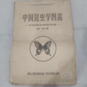 中国昆虫学图说-中国害虫图说总论