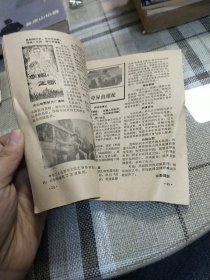 电影介绍 1982.4