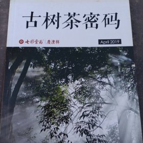 古树茶密码