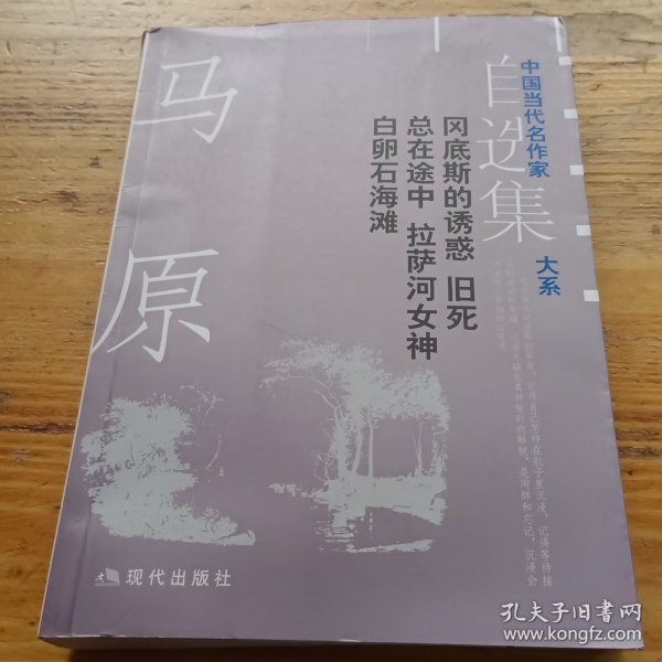 马原自选集：中国当代名作家自选集大系