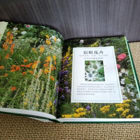 DK 世界园林植物与花卉百科全书