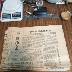 参考消息1988年12月17日