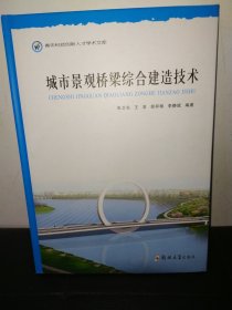 城市景观桥梁综合建造技术