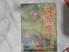 连环画： 雁翎队