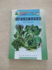 绿叶菜和珍稀特菜栽培