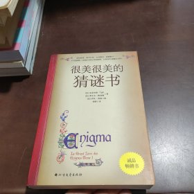 很美很美的猜谜书(升级版)：巴黎彩绘解谜手册！激发孩子数学兴趣入门书！172道谜题+200幅中世纪风格插画，精雕细琢的图腾，全书充满故事性与神秘感