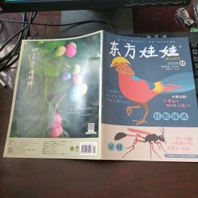 东方娃娃 幼儿大科学 2020年11月总第675期 红腹锦鸡、泥蜂