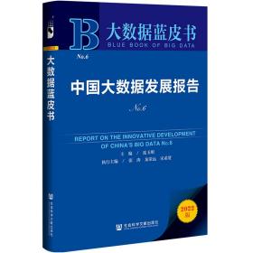 大数据蓝皮书：中国大数据发展报告No.6