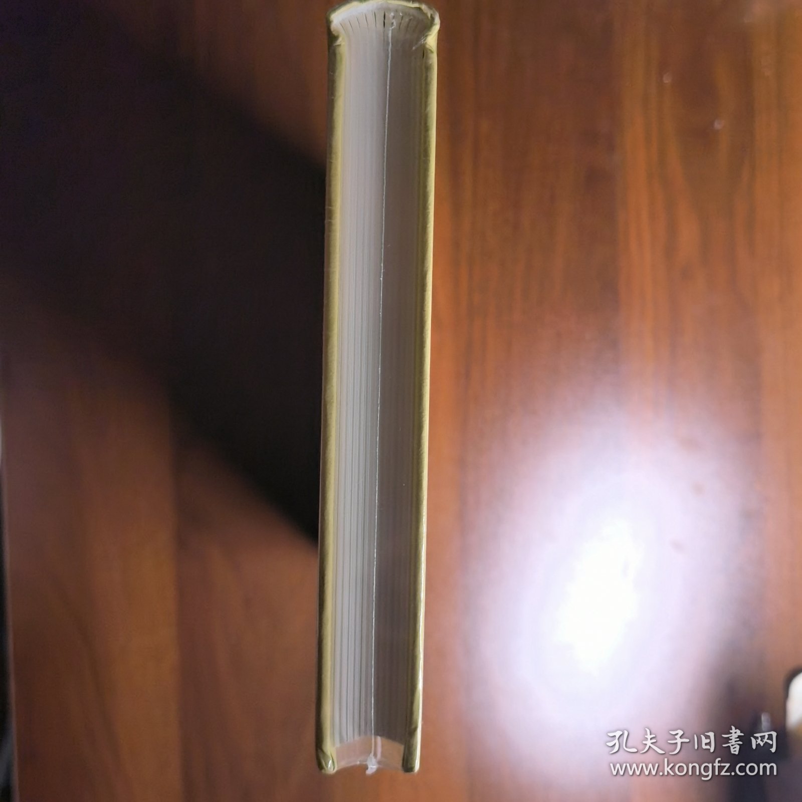 柱马屋存稿