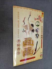 名师教你画画，(2DVD)，国语发音中文字幕