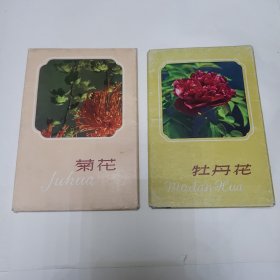 60年代明信片 菊花九张 牡丹花五张（两册）