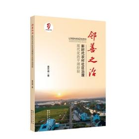 邻善之治 新时代农村社区治理现代化的湖经验 政治理论 袁方成 新华正版