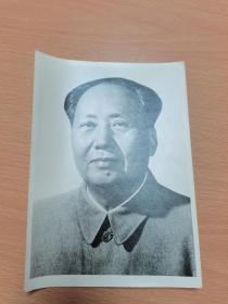 70年代中国图片社老照片 毛主席头像 13.5*19.5cm