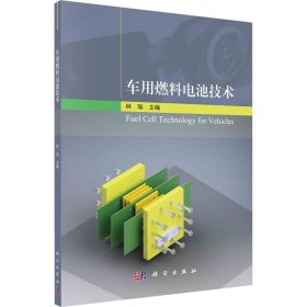 车用燃料电池技术