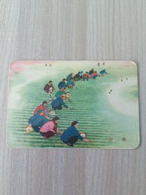 年历卡 1975 春锄 年历片