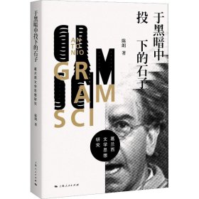 于黑暗中投下的石子