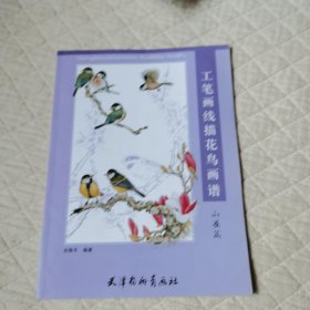 工筆畫線描花鳥畫譜山雀篇