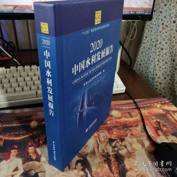 2020中国水利发展报告