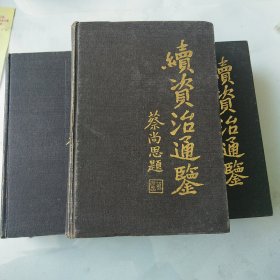 续资治通鉴（全三册 岳麓书社）