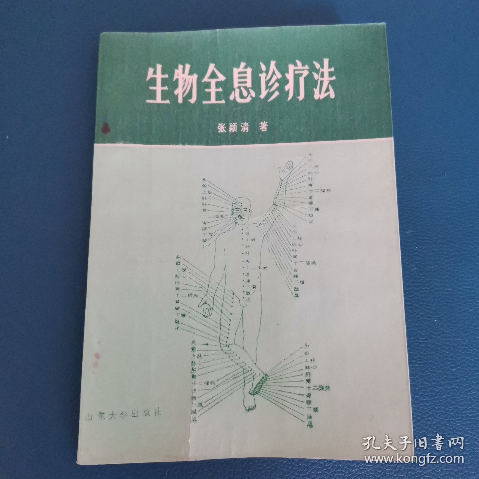 生物全息诊疗法（平装本，32开）