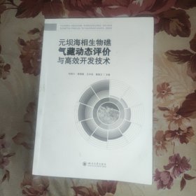 元坝海相生物礁气藏动态评价与高效开发技术