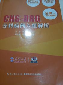 CHS-DRG
分科病例入组解析