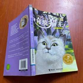 奇境猫王系列：太阳猫的种子