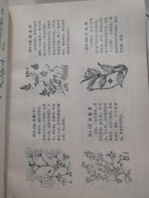 新医药学（上册）