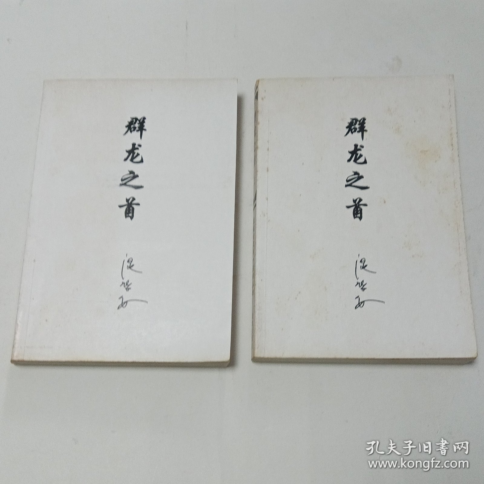 群龙之首