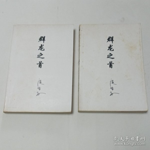 群龙之首