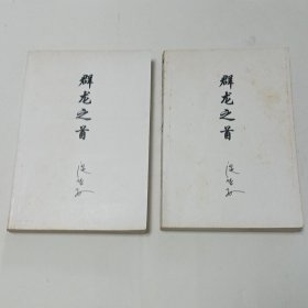 群龙之首