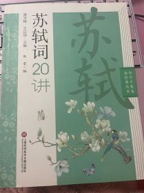 苏轼词20讲