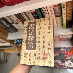 书法精论 中国书店