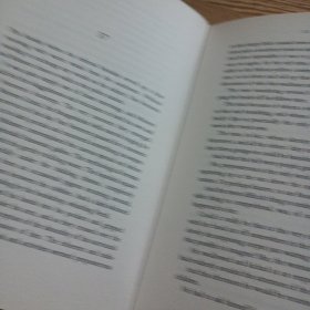 Borkmann's Point : An Inspector Van Veeteren Mystery（几处脱裂）——bb3(dg)