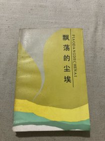 飘荡的尘埃