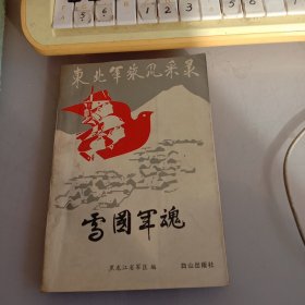 雪国军魂-东北军旅风采录