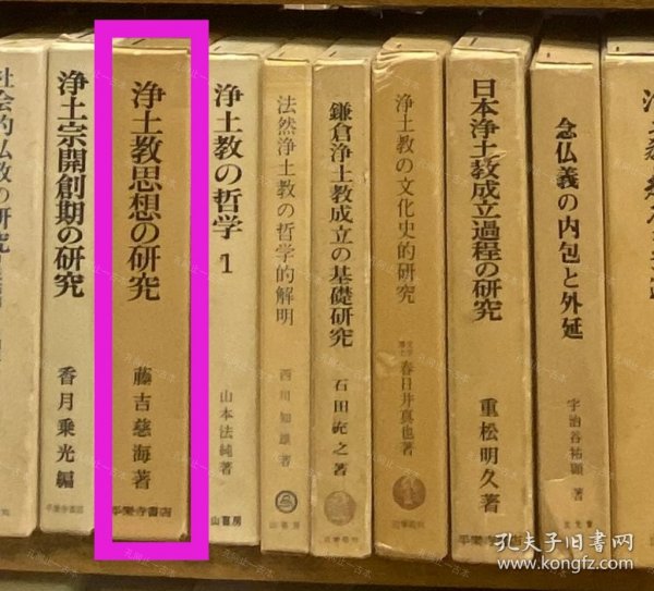 价可议 净土教思想 研究 58zdwzdw 浄土教思想の研究