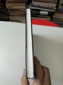 灭火：美国金融危机及其教训