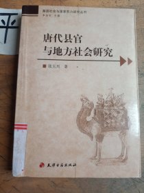 唐代县官与地方社会研究
